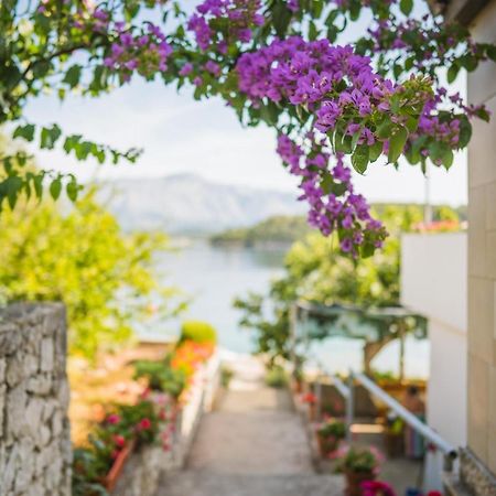 Apartments By The Sea Lumbarda, Korcula - 4446 ภายนอก รูปภาพ
