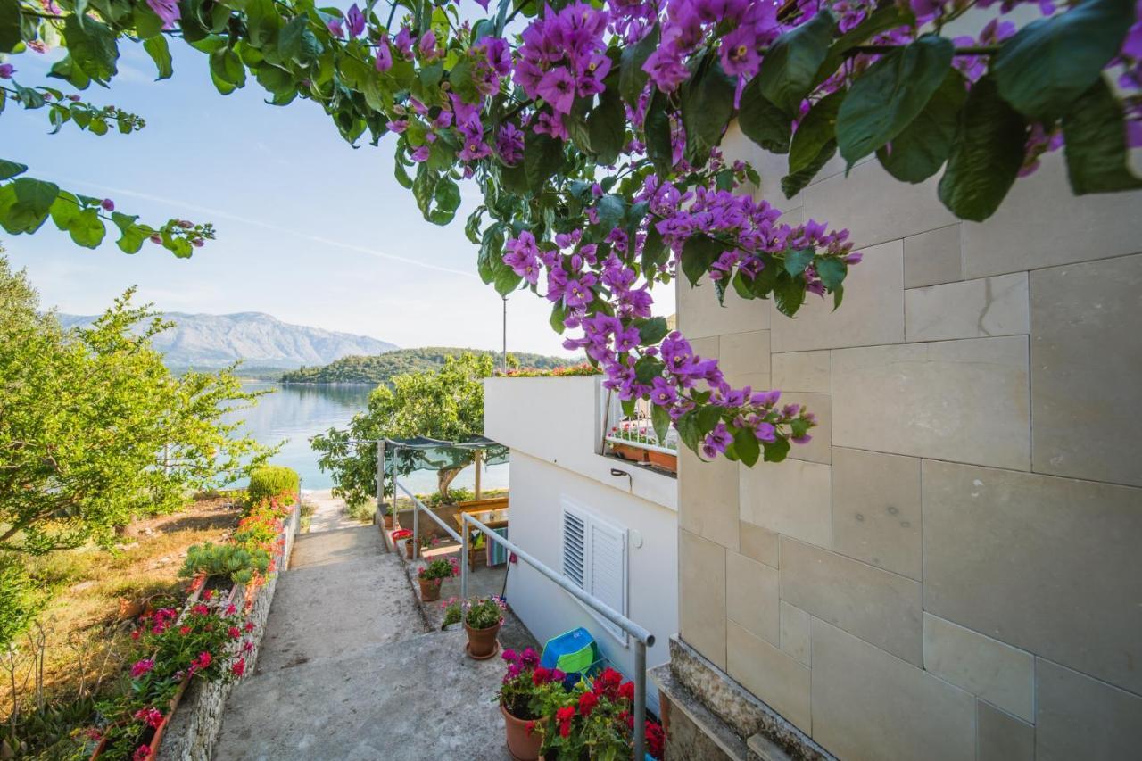 Apartments By The Sea Lumbarda, Korcula - 4446 ภายนอก รูปภาพ